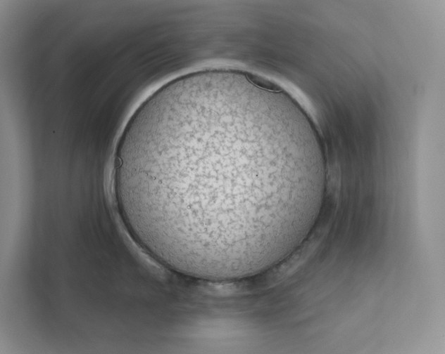 X0000111420911200907271140