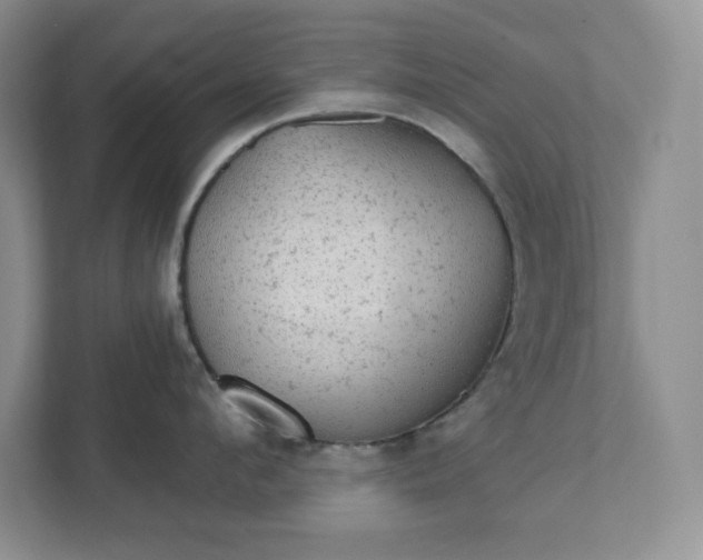 X0000111420912200907271140