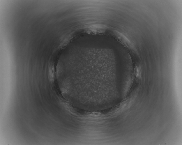 X0000111420915200907271140