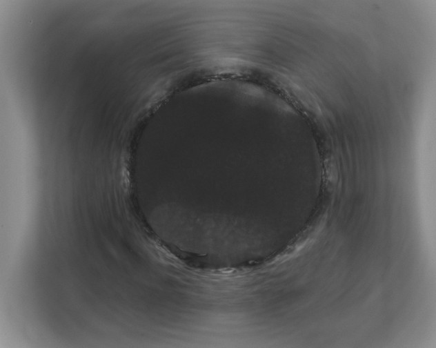 X0000111420916200907271140