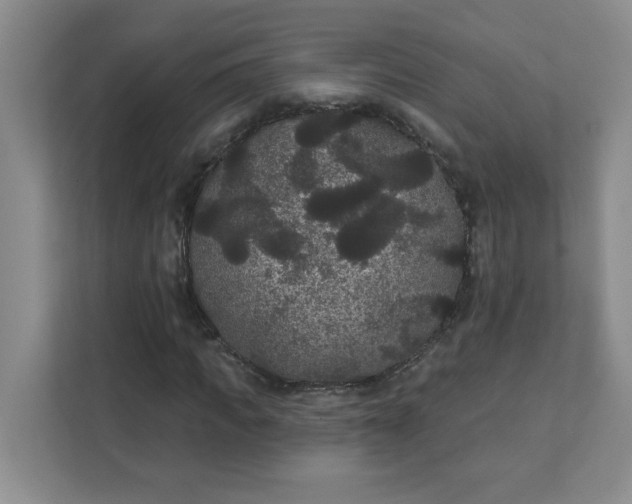 X0000111420917200907271140