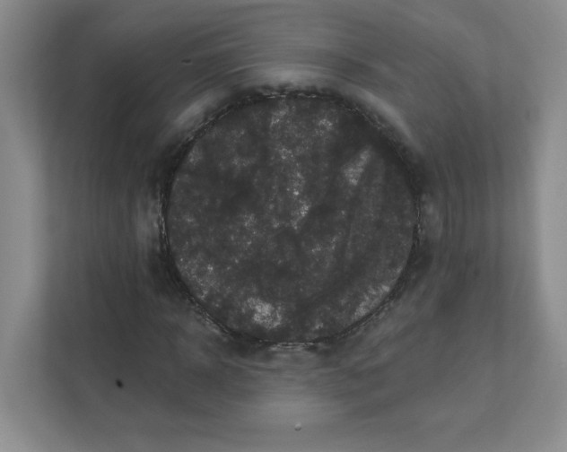 X0000111420918200907271140