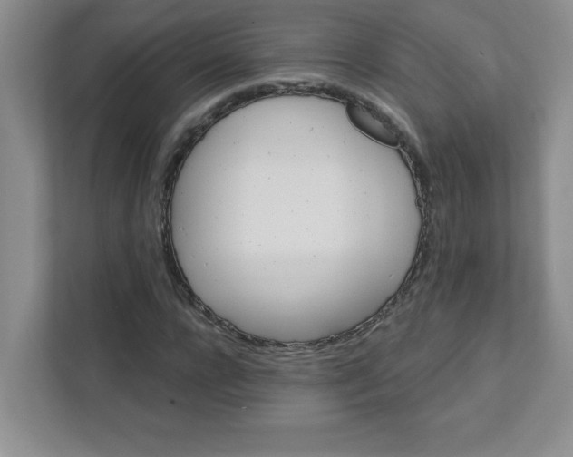 X0000111420920200907271140