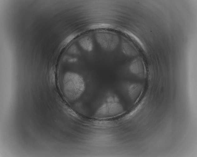 X0000111420921200907271140