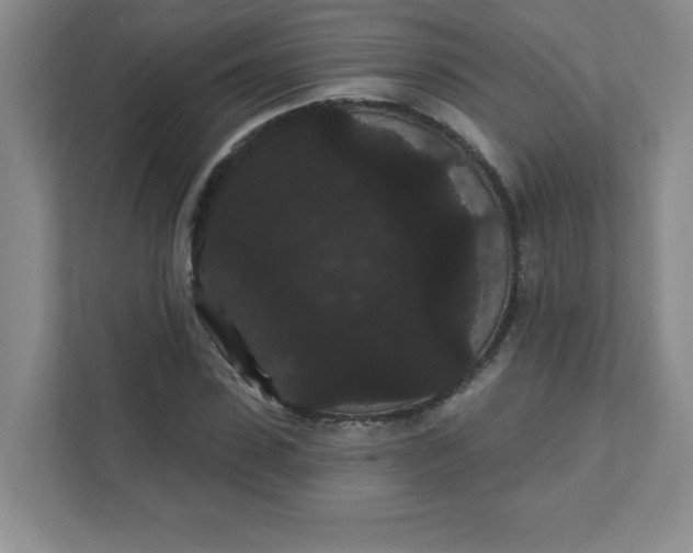 X0000111420923200907271140