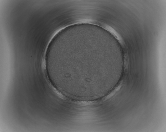 X0000111420924200907271140