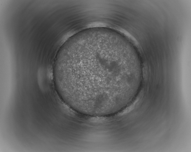 X0000111420929200907271140