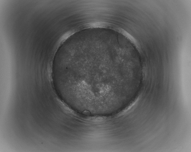 X0000111420930200907271140