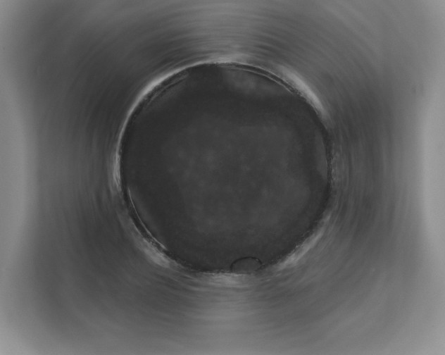 X0000111420932200907271140