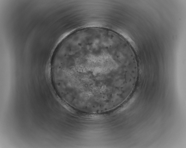 X0000111420933200907271140