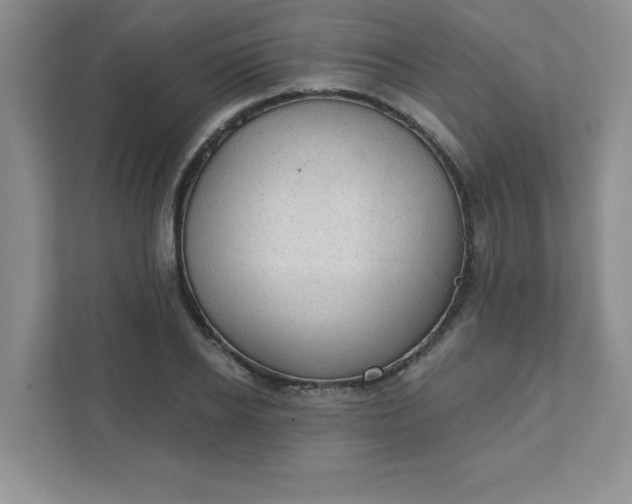 X0000111420934200907271140