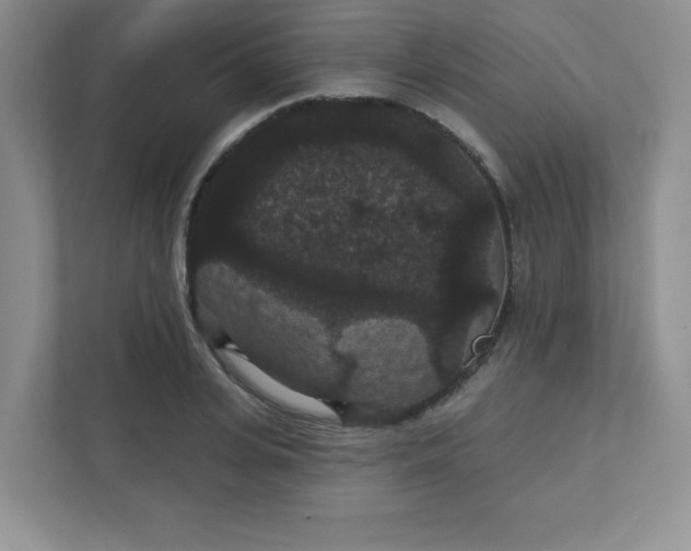 X0000111420935200907271140