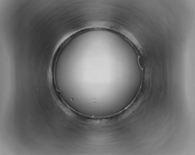 X0000111420936200907271140