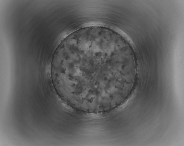 X0000111420937200907271140