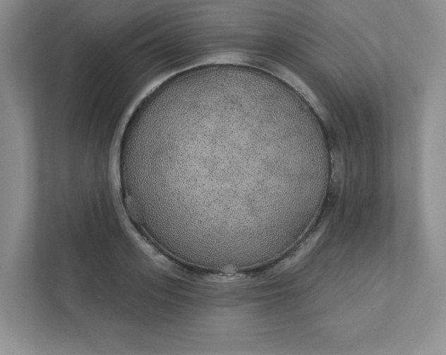 X0000111420939200907271140