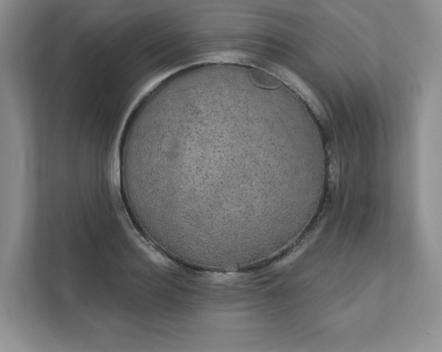 X0000111420940200907271140