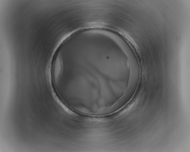 X0000111420941200907271140