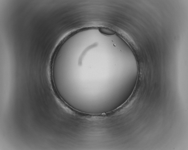 X0000111420942200907271140