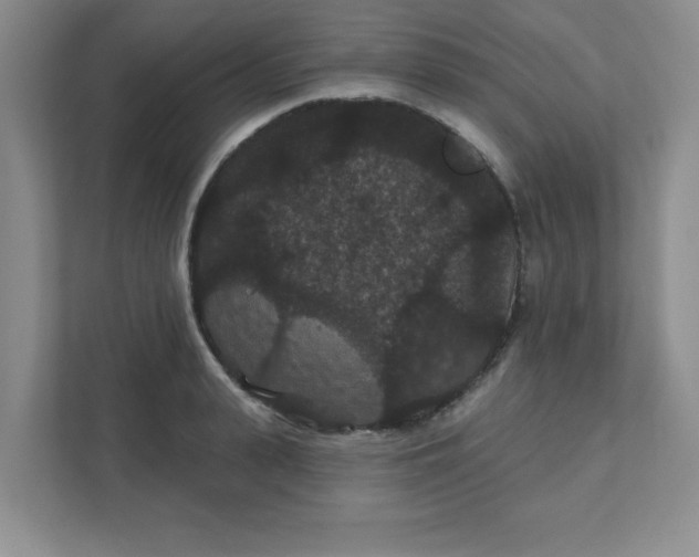 X0000111420943200907271140