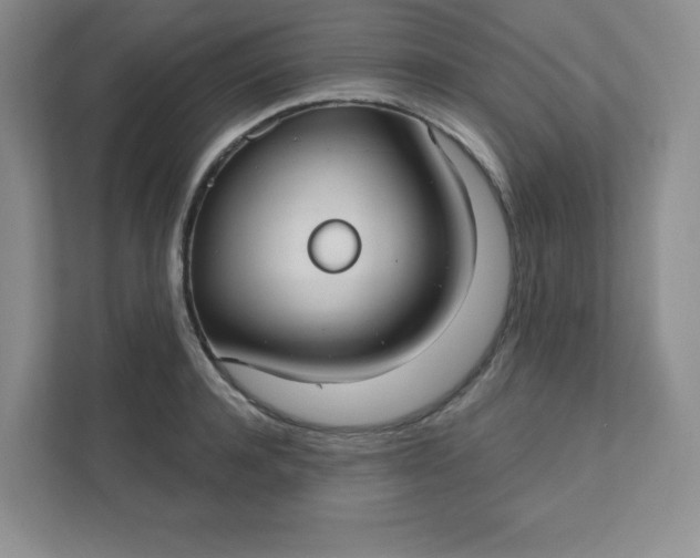 X0000111420944200907271140