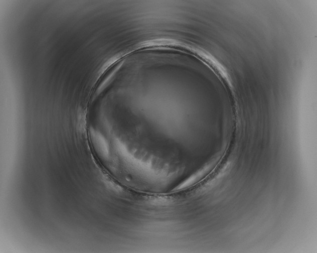 X0000111420945200907271140