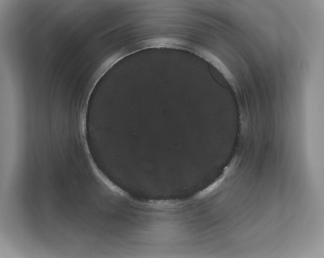 X0000111420946200907271140