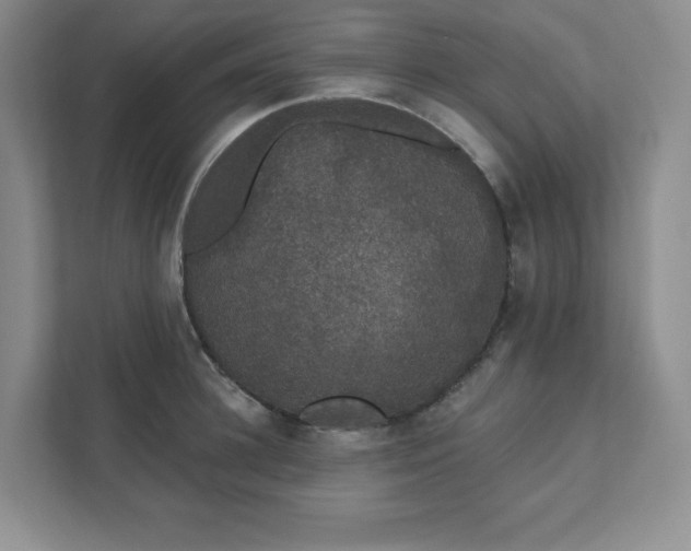 X0000111420948200907271140