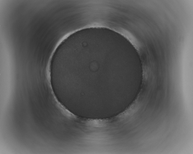 X0000111420950200907271140