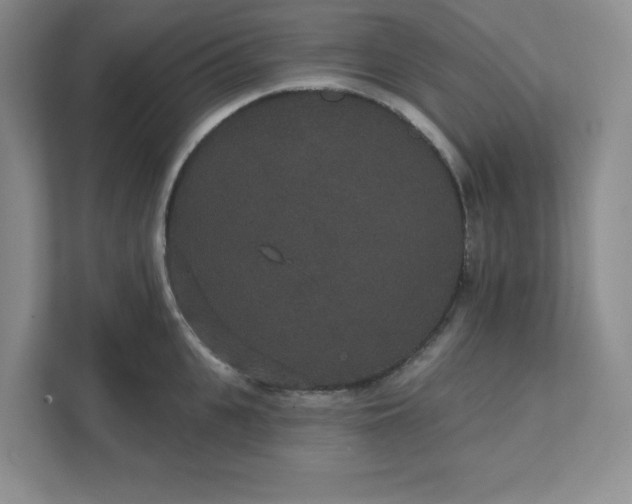 X0000111420951200907271140