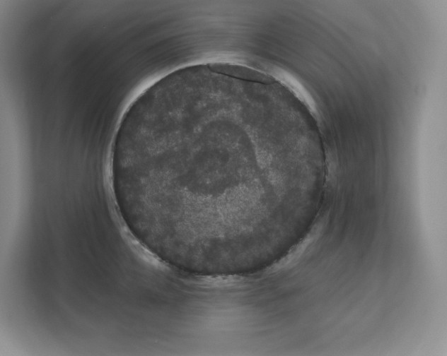 X0000111420952200907271140