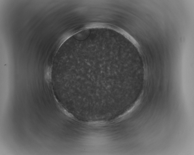 X0000111420953200907271140