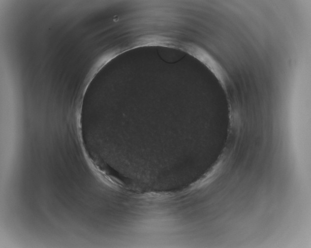 X0000111420954200907271140