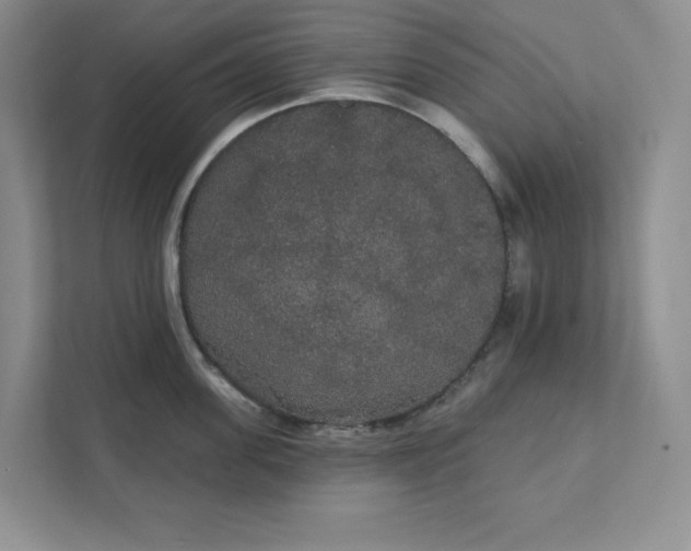 X0000111420955200907271140