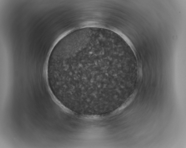 X0000111420957200907271140