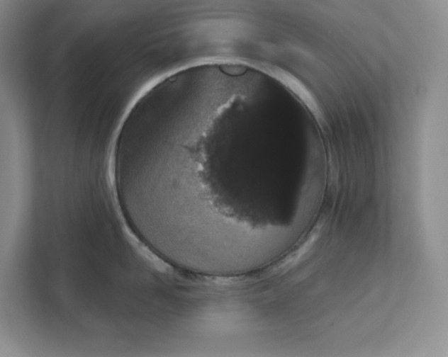 X0000111420958200907271140