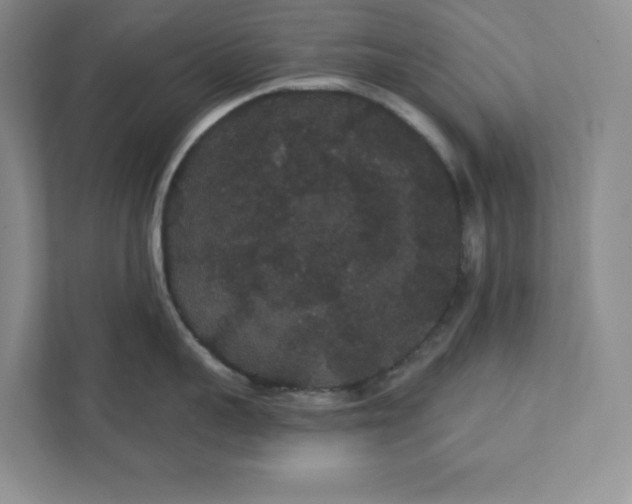 X0000111420959200907271140