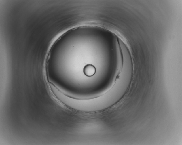 X0000111420960200907271140