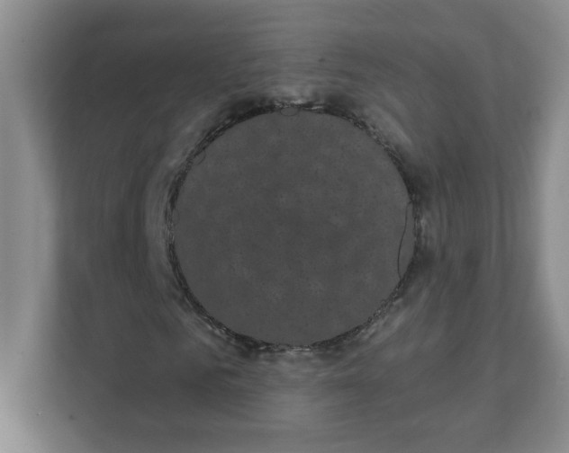 X0000111420961200907271140