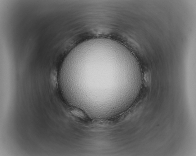 X0000111420963200907271140