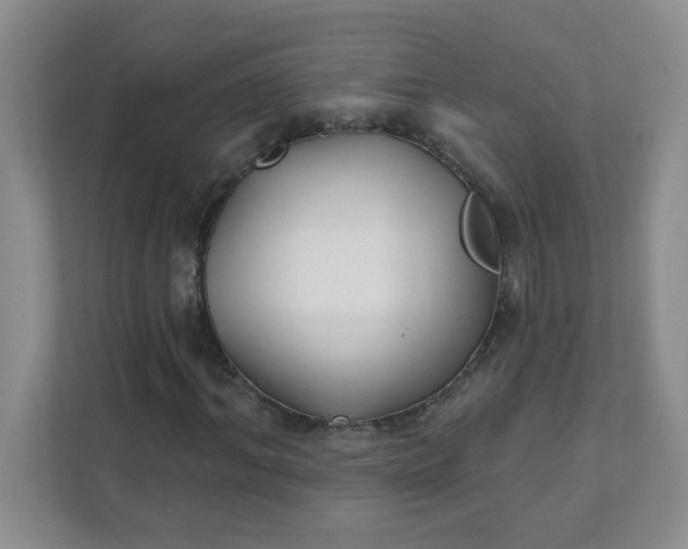 X0000111420964200907271140