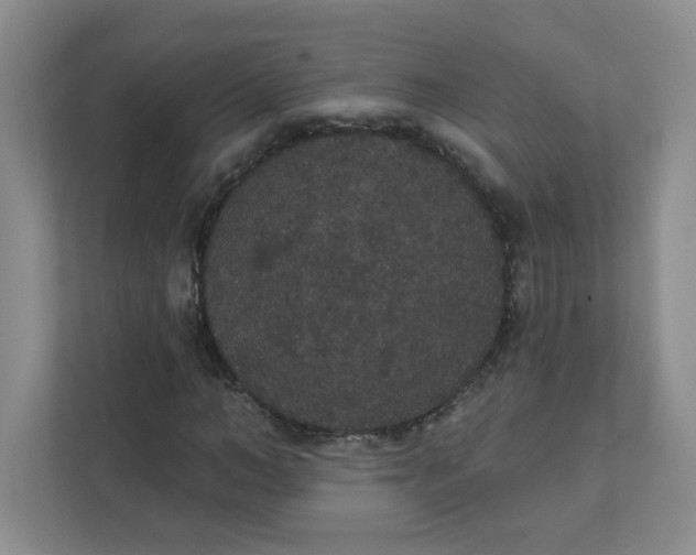 X0000111420966200907271139