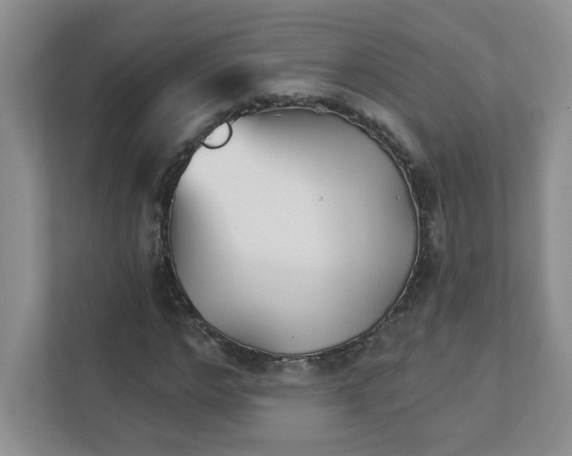 X0000111420968200907271139