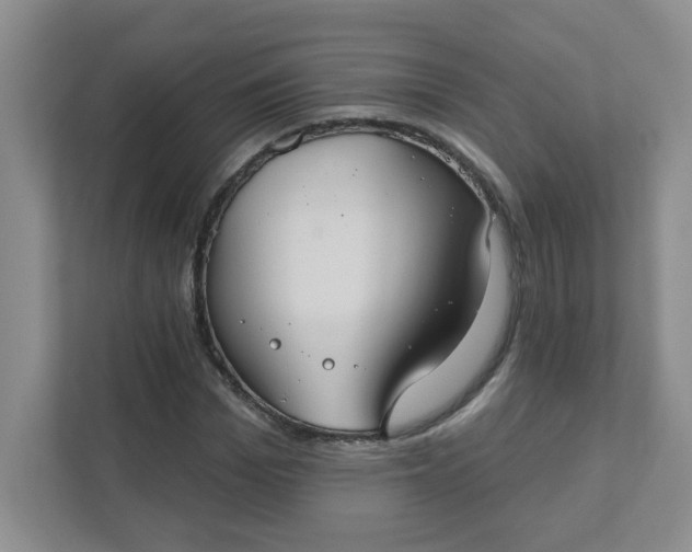 X0000111420969200907271139