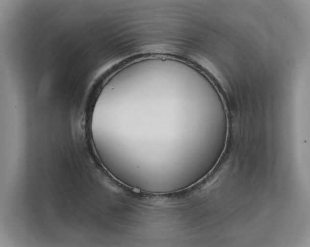 X0000111420971200907271139