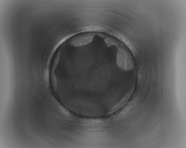 X0000111420975200907271139