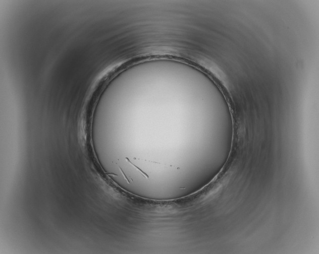 X0000111420979200907271139