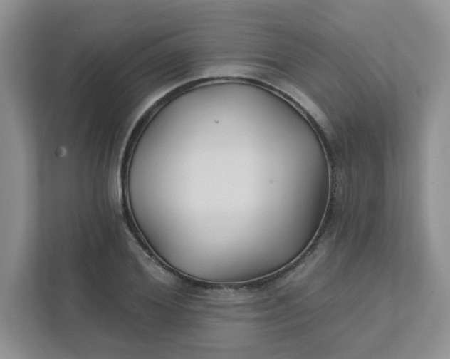 X0000111420980200907271139