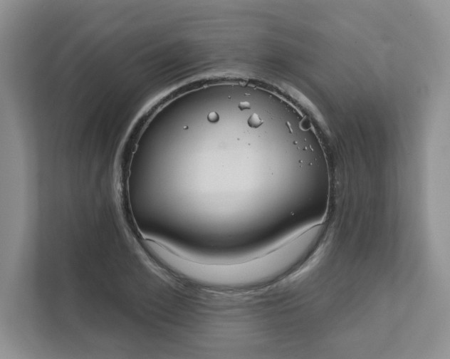 X0000111420981200907271139