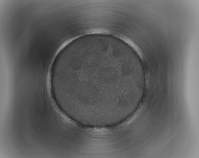 X0000111420983200907271139