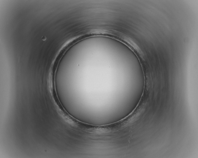 X0000111420984200907271139